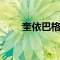 奎依巴格乡（关于奎依巴格乡简介）