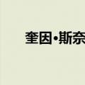 奎因·斯奈德（关于奎因·斯奈德简介）