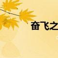奋飞之梦（关于奋飞之梦简介）
