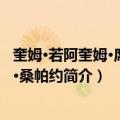 奎姆·若阿奎姆·席尔瓦·桑帕约（关于奎姆·若阿奎姆·席尔瓦·桑帕约简介）