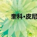 奎科·皮尼亚（关于奎科·皮尼亚简介）