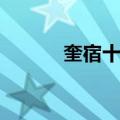 奎宿十三（关于奎宿十三简介）