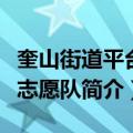 奎山街道平台村志愿队（关于奎山街道平台村志愿队简介）