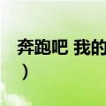 奔跑吧 我的婚礼（关于奔跑吧 我的婚礼简介）