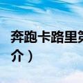 奔跑卡路里第二季（关于奔跑卡路里第二季简介）