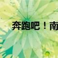 奔跑吧！南京（关于奔跑吧！南京简介）