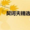 契诃夫精选集（关于契诃夫精选集简介）