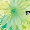 奔突（关于奔突简介）