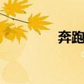 奔跑吧（关于奔跑吧简介）