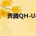 奔腾QH-U81（关于奔腾QH-U81简介）