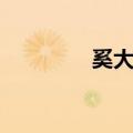奚大野（关于奚大野简介）