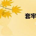 套牢者（关于套牢者简介）