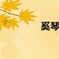 奚琴师（关于奚琴师简介）
