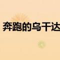 奔跑的乌干达人（关于奔跑的乌干达人简介）