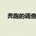 奔跑的调查官（关于奔跑的调查官简介）