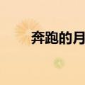 奔跑的月光（关于奔跑的月光简介）
