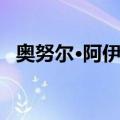 奥努尔·阿伊克（关于奥努尔·阿伊克简介）