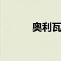 奥利瓦尔（关于奥利瓦尔简介）