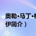奥勒·马丁·林达罗伊（关于奥勒·马丁·林达罗伊简介）