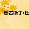 奥古斯丁·杜梅（关于奥古斯丁·杜梅简介）