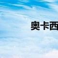 奥卡西平（关于奥卡西平简介）