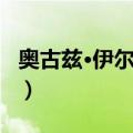 奥古兹·伊尔马兹（关于奥古兹·伊尔马兹简介）