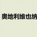 奥地利维也纳队（关于奥地利维也纳队简介）