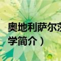 奥地利萨尔茨堡大学（关于奥地利萨尔茨堡大学简介）