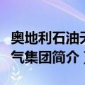 奥地利石油天然气集团（关于奥地利石油天然气集团简介）
