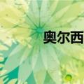 奥尔西 P.（关于奥尔西 P.简介）