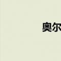 奥尔图（关于奥尔图简介）