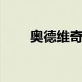 奥德维奇站（关于奥德维奇站简介）