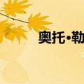 奥托·勒维（关于奥托·勒维简介）