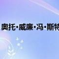 奥托·威廉·冯·斯特鲁维（关于奥托·威廉·冯·斯特鲁维简介）