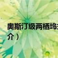 奥斯汀级两栖坞式攻击舰（关于奥斯汀级两栖坞式攻击舰简介）