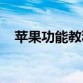  苹果功能教科书 电子文本已经占据了市场