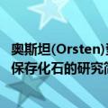 奥斯坦(Orsten)型保存化石的研究（关于奥斯坦(Orsten)型保存化石的研究简介）