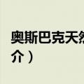 奥斯巴克天然石砖（关于奥斯巴克天然石砖简介）