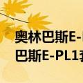奥林巴斯E-PL1套机(14-42mm)（关于奥林巴斯E-PL1套机(14-42mm)简介）