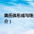 奥氏体形成与珠光体转变（关于奥氏体形成与珠光体转变简介）