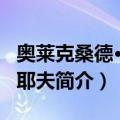 奥莱克桑德·阿利耶夫（关于奥莱克桑德·阿利耶夫简介）