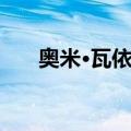 奥米·瓦依达（关于奥米·瓦依达简介）