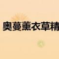 奥蔓薰衣草精油（关于奥蔓薰衣草精油简介）