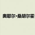 奥耶尔·桑胡尔霍·马特（关于奥耶尔·桑胡尔霍·马特简介）
