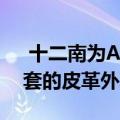  十二南为AirPods Pro增添了AirSnap保护套的皮革外观