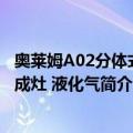 奥莱姆A02分体式集成灶 液化气（关于奥莱姆A02分体式集成灶 液化气简介）