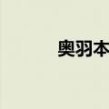 奥羽本线（关于奥羽本线简介）