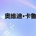 奥维迪·卡鲁鲁（关于奥维迪·卡鲁鲁简介）