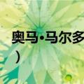 奥马·马尔多纳多（关于奥马·马尔多纳多简介）