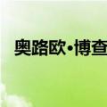 奥路欧·博查特（关于奥路欧·博查特简介）